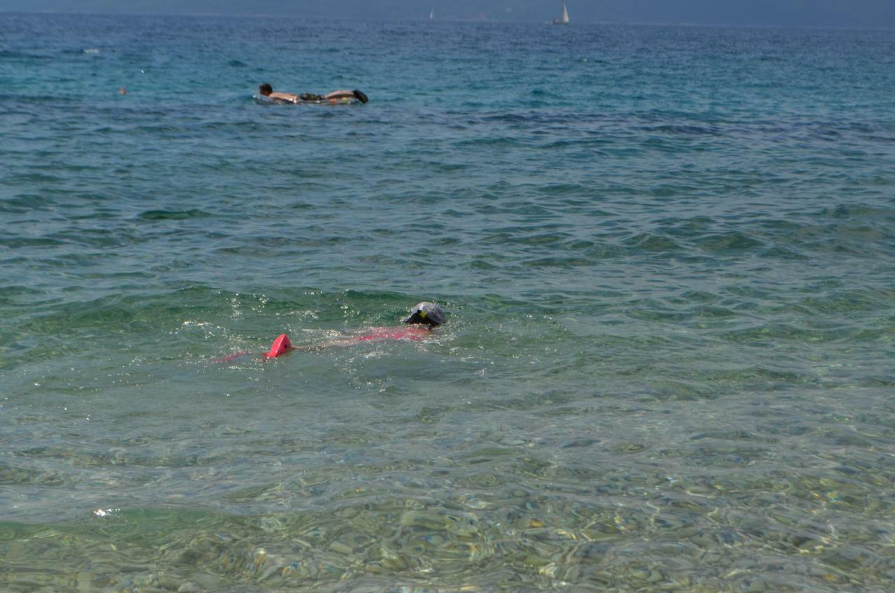 Jure Trogir